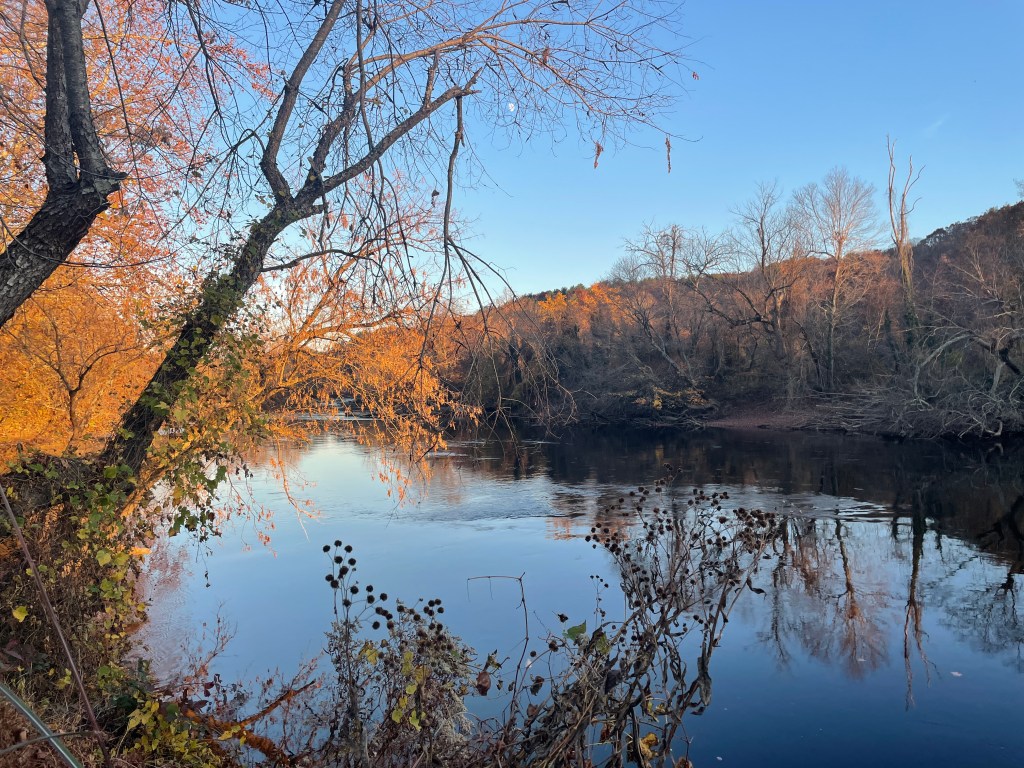 French Broad in fall. Photo: Ami Worthen